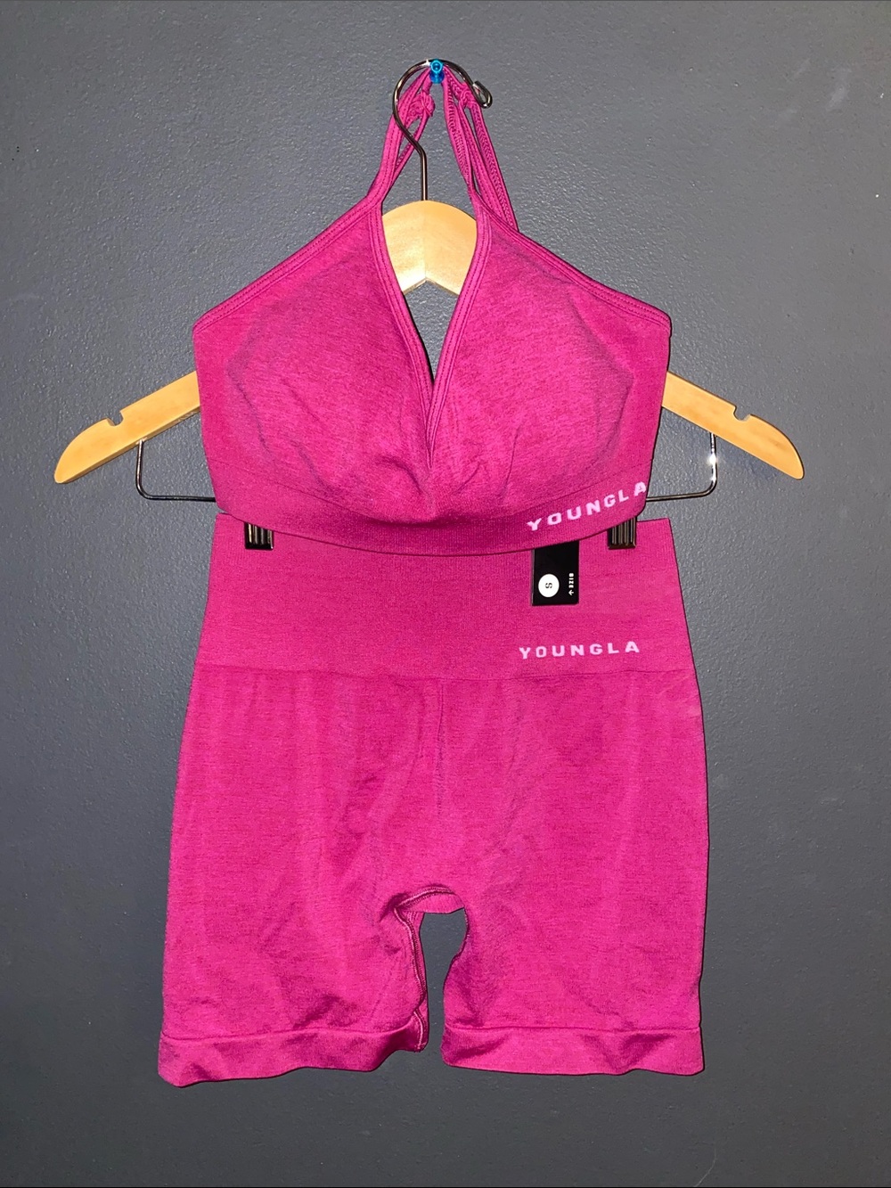 YoungLA Raspberry Seamless Sports Bra and High-Waist Shorts Set. Top NWT.